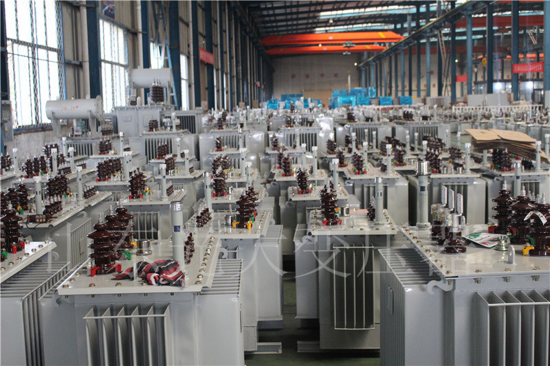 阳江S22-800KVA/10KV